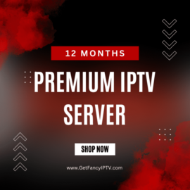 Subscription –  12 Months